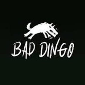 Bad Dingo