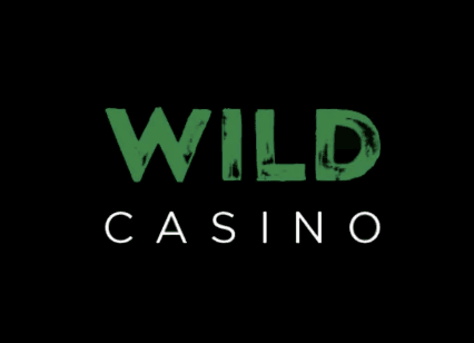 Review Wildz Casino Logo